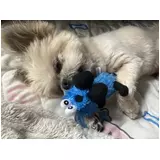 日記画像