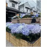 日記画像