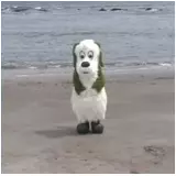 日記画像