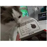 日記画像
