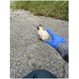 日記画像