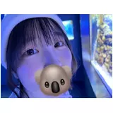 日記画像