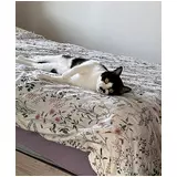 日記画像
