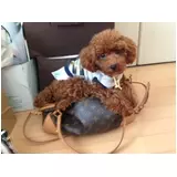 日記画像