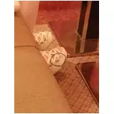 日記画像
