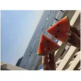 日記画像