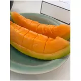 日記画像