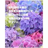 日記画像