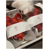 日記画像