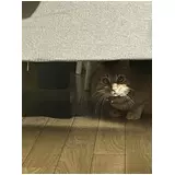 日記画像