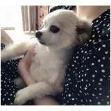 日記画像