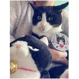 日記画像