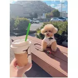 日記画像