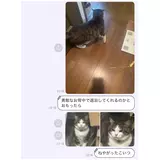 日記画像