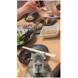 日記画像
