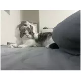 日記画像