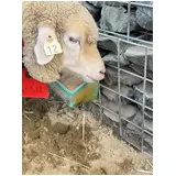 日記画像