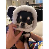 日記画像