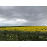 日記画像