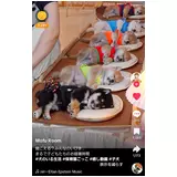日記画像