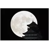 日記画像