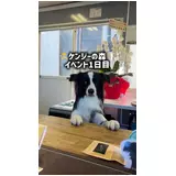 日記画像
