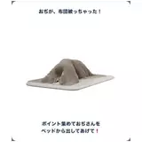 日記画像