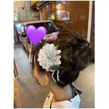 日記画像