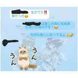 日記画像