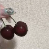 日記画像