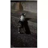 日記画像