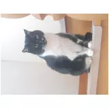 日記画像