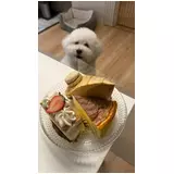日記画像