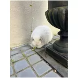 日記画像