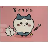 日記画像