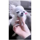 日記画像