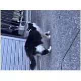 日記画像