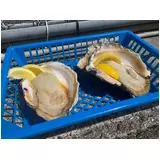 日記画像