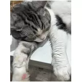 日記画像