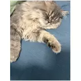 日記画像
