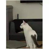 日記画像