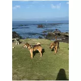 日記画像