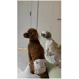 日記画像