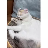 日記画像