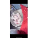 日記画像
