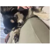 日記画像