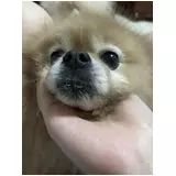 日記画像