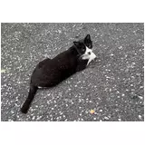 日記画像