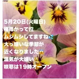 日記画像