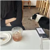 日記画像